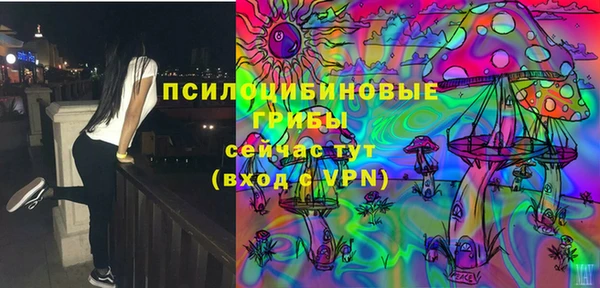 соль ск Алексин