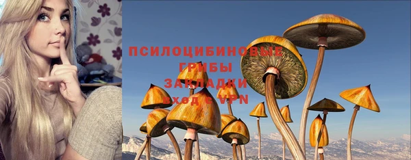 герыч Алзамай
