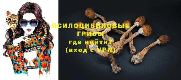 соль ск Алексин
