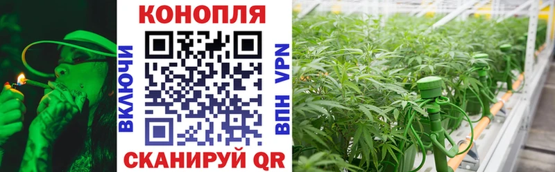 Бошки Шишки сатива  blacksprut вход  Югорск 